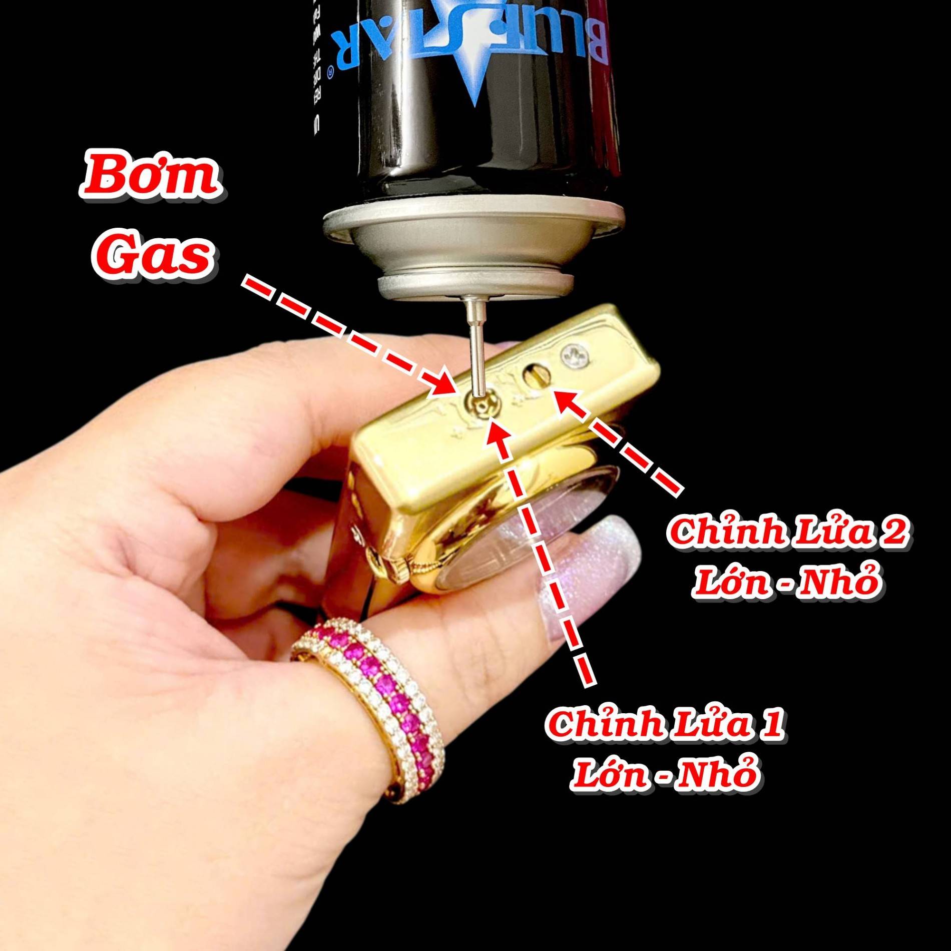 2_che_do_lua_hinh_rong_9