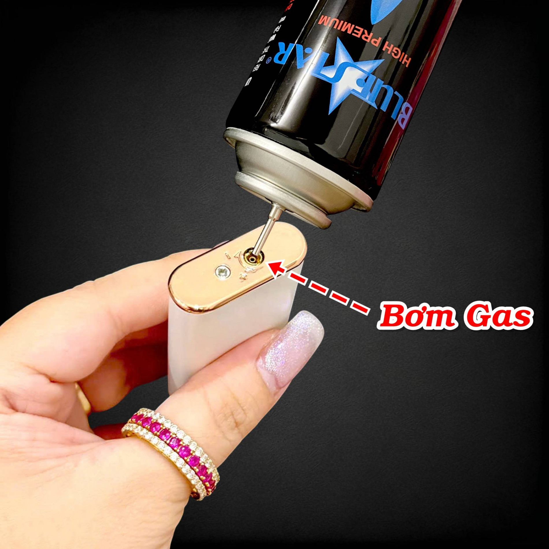 dolphin_2_che_do_lua_hinh_hoa_van_5