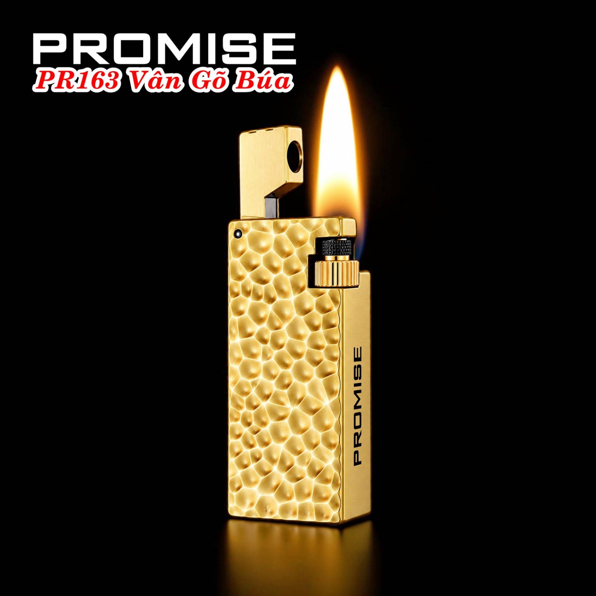promise_pr163_6
